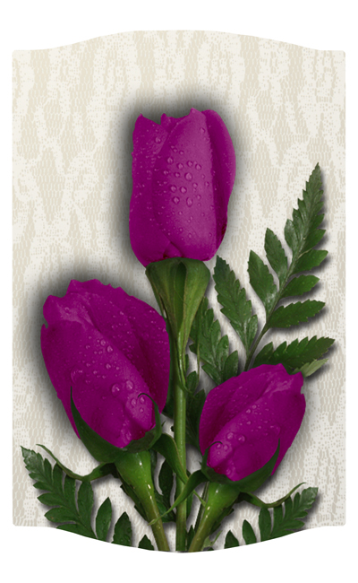 DNSLOG C 053 2 Roses Orchid 